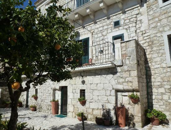 B&B Il Giardino Dei Mandarini โมดิกา ภายนอก รูปภาพ